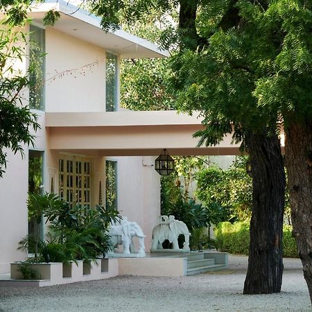 Rose Amer Τζαϊπούρ Εξωτερικό φωτογραφία